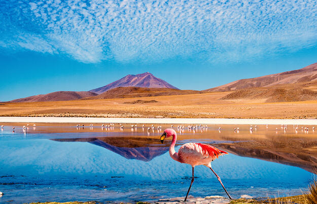 Naturschätze der Anden Naturschätze der Anden