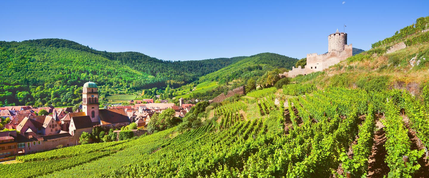 Mit dem E-Bike durch das Elsass