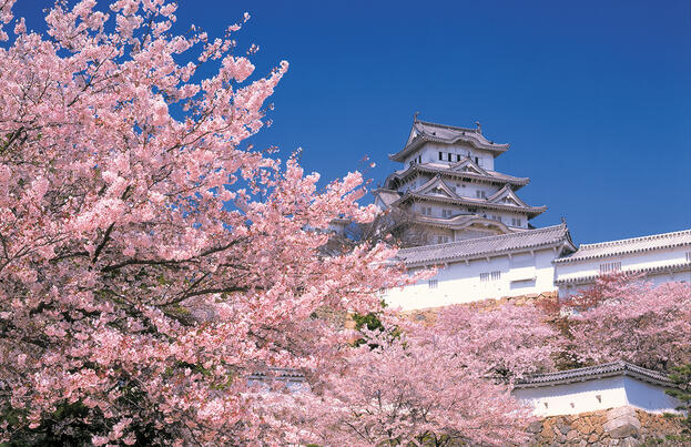 Japan für Entdecker Japan für Entdecker