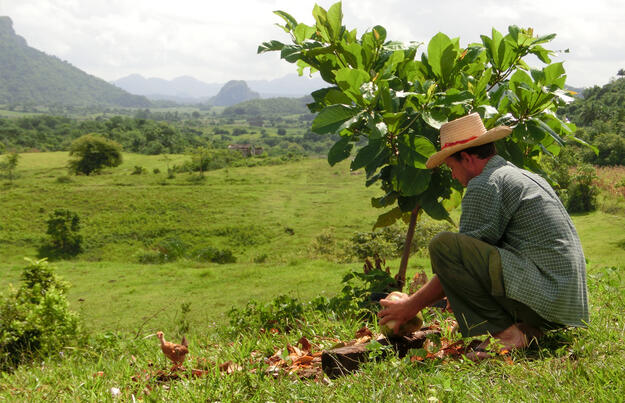 Kuba ─ Kultur und Karibikstrand Kuba ─ Kultur und Karibikstrand