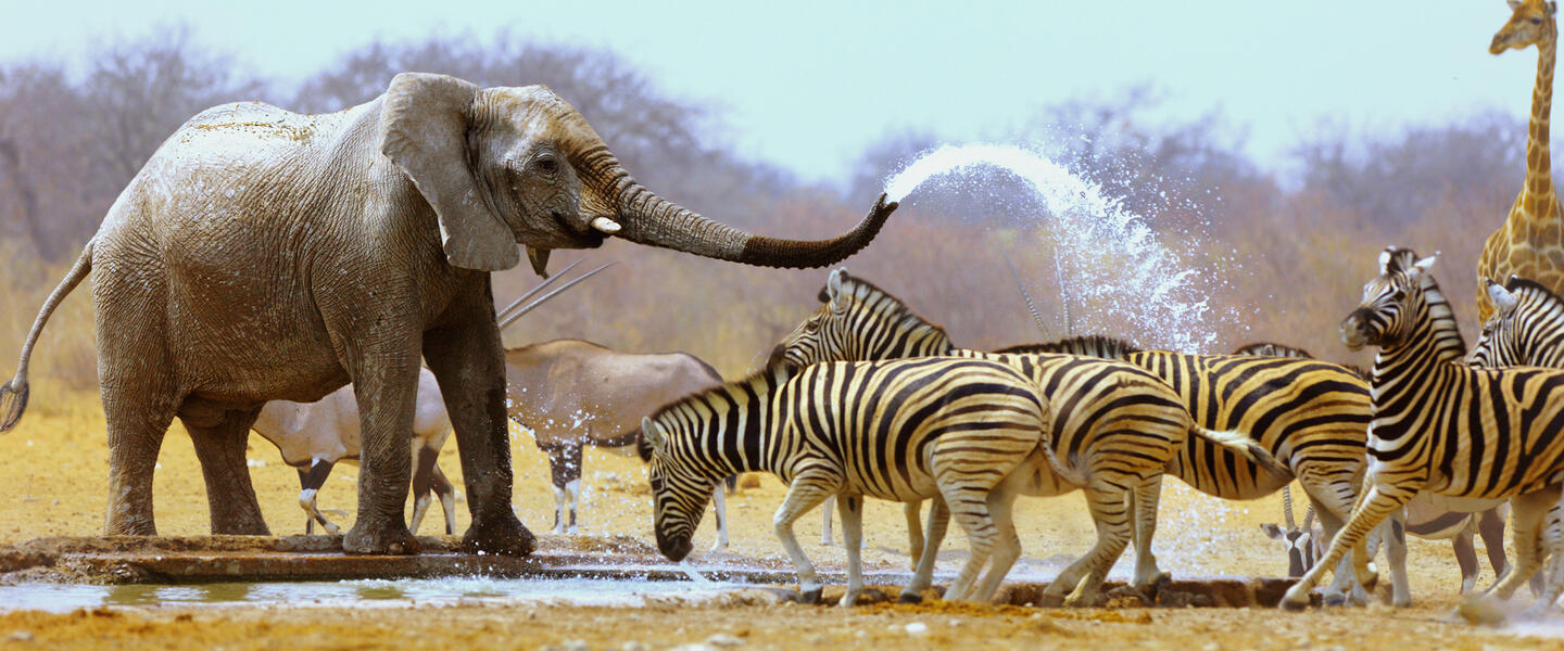 Entdeckungsreise Namibia