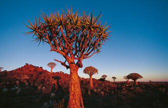 Namibia auf Schritt und Tritt