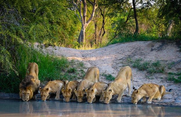 Südafrika und die Victoria-Fälle Südafrika und die Victoria-Fälle