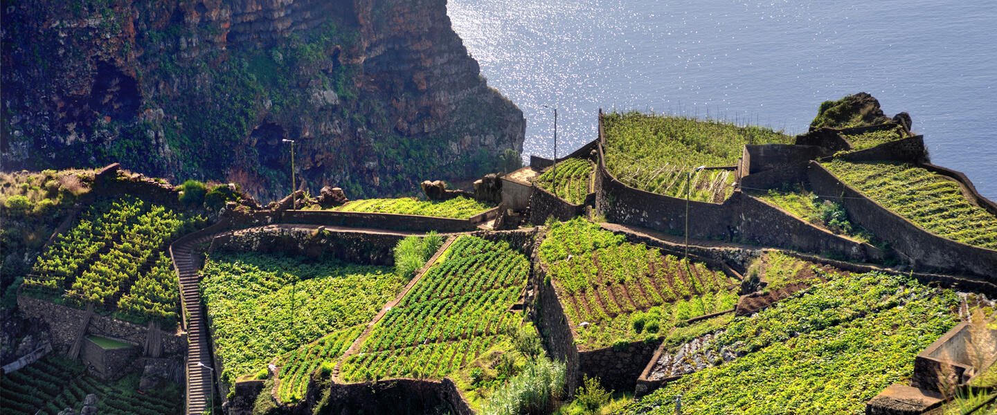 Blumeninsel Madeira