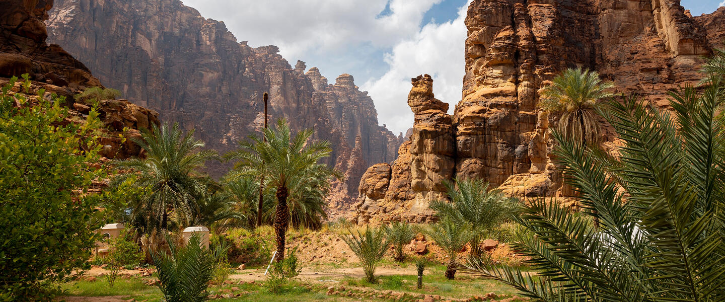 Saudi-Arabien - Wüste, Wadis, grüne Berglandschaften