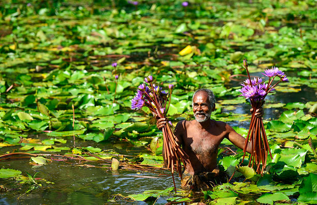 Der Zauber Sri Lankas Der Zauber Sri Lankas