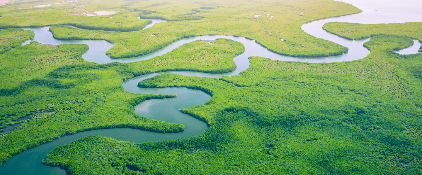 Gambia entdecken