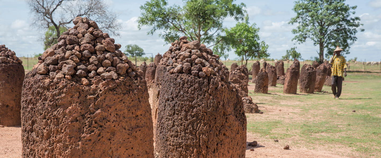 Gambia entdecken