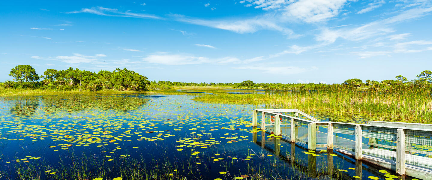 Florida ─ die Höhepunkte des Sonnenstaates