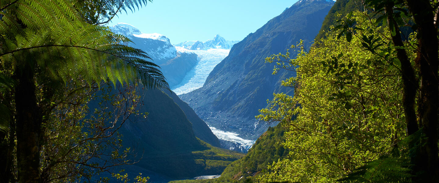 Neuseelandsafari - von Auckland nach Christchurch