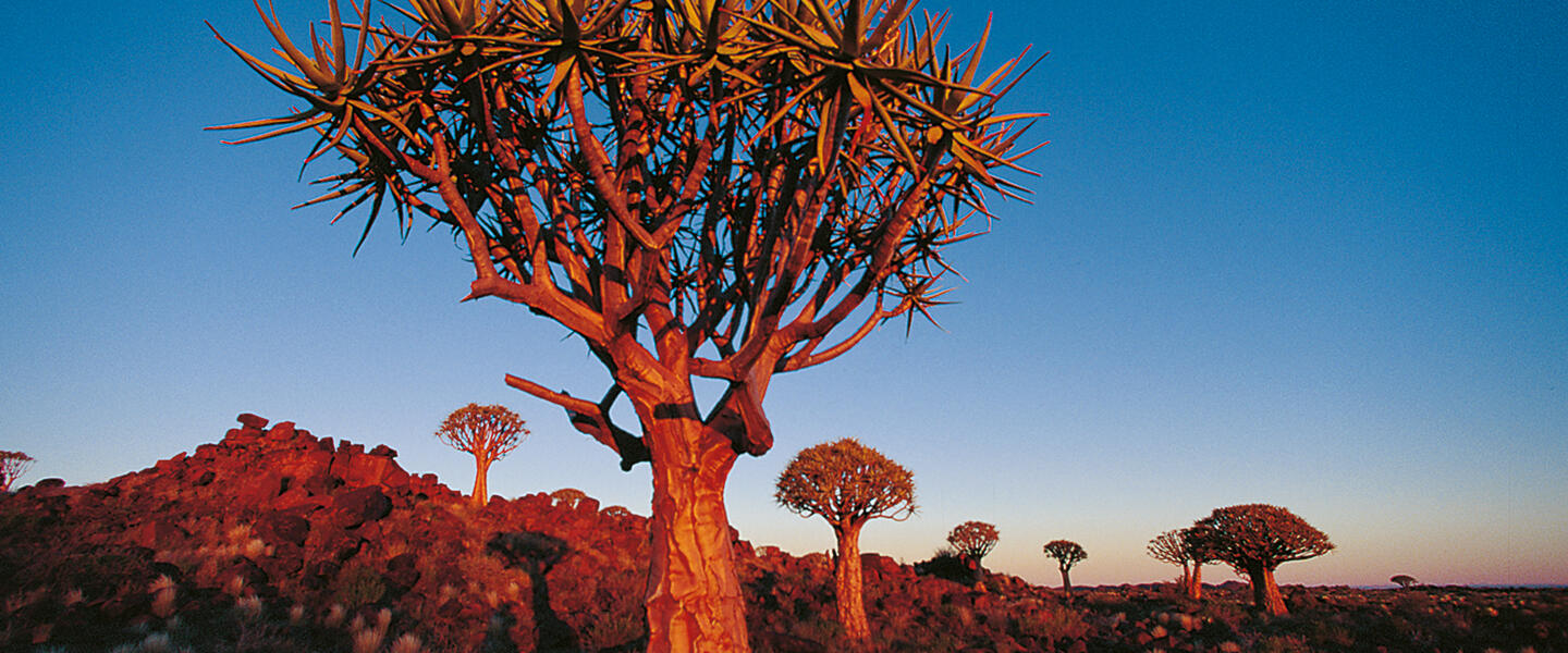 Maison Ambre Guesthouse, Windhoek