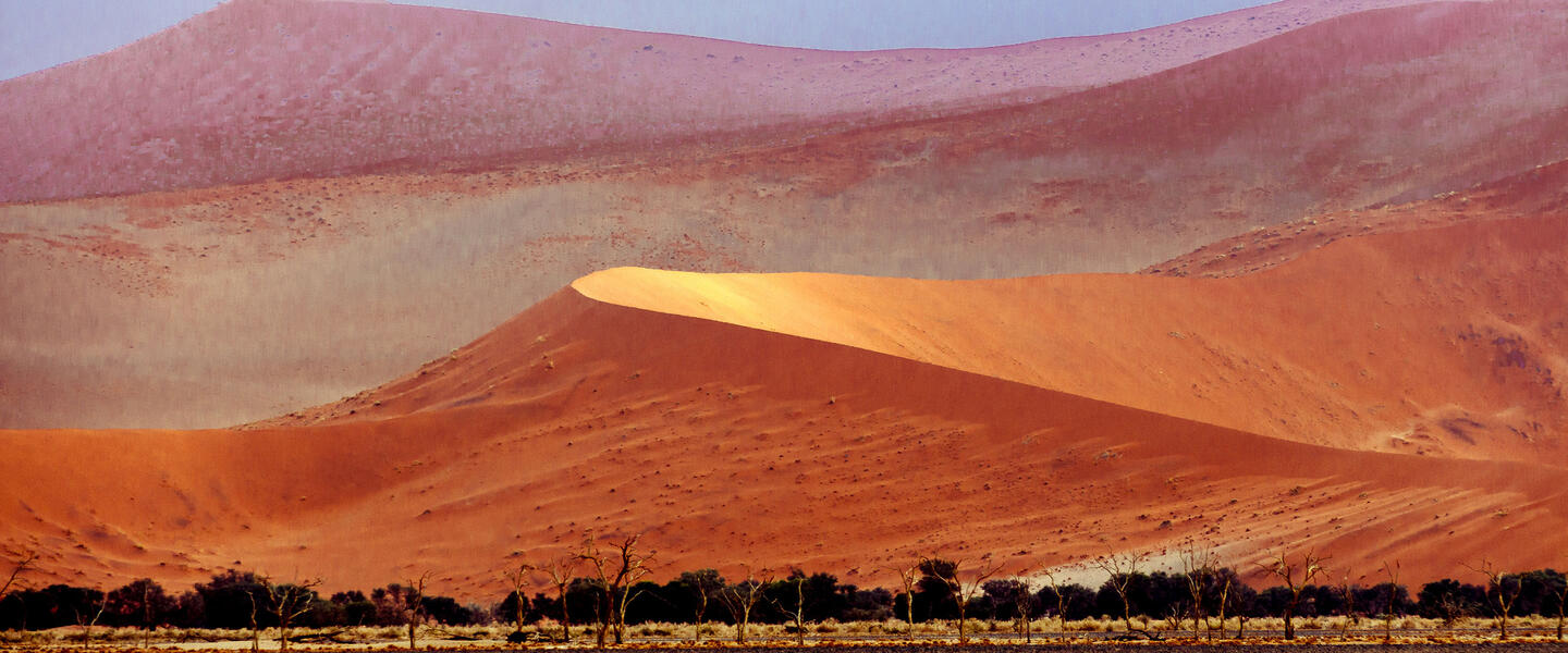 Wüstenzauber Namibias