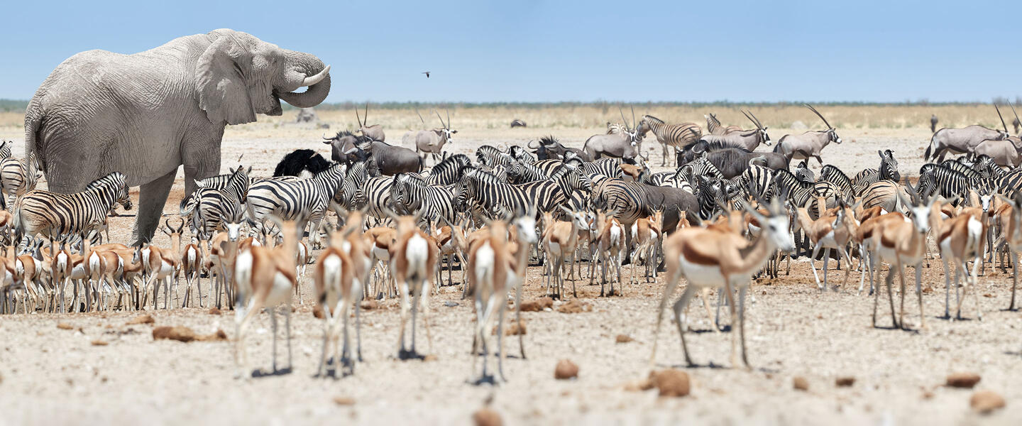 Camping-Abenteuer Namibia